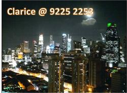 Blk 1F The Pinnacle@Duxton (Bukit Merah), HDB 5 Rooms #100762772